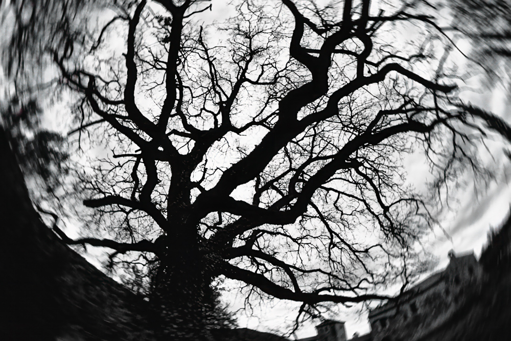 Οι λήψεις με τον fisheye συνεχίζονται. Κάθε φορά ανακαλύπ...