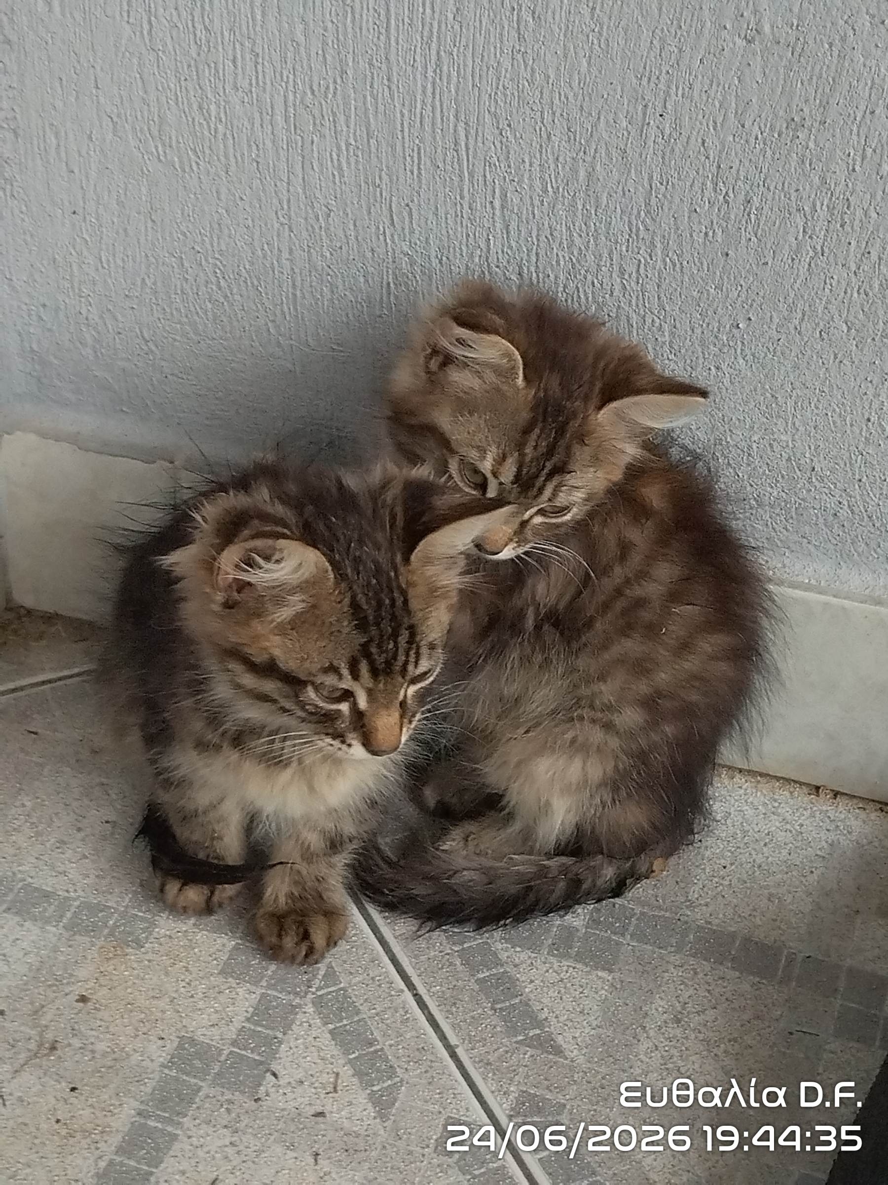 Photo by Ευθαλία