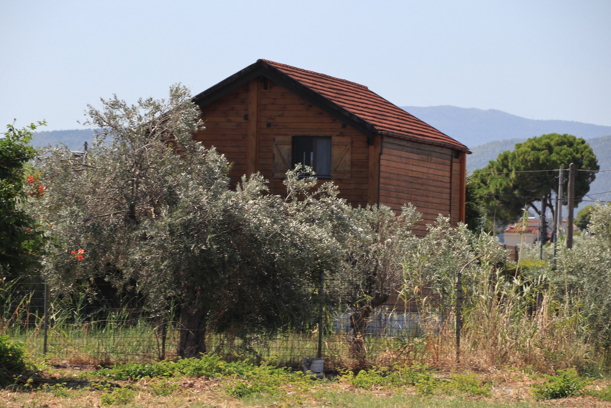 Ωρωπός. Όποτε περνάω το χαζεύω. Μου θυμίζει εκείνη την επ...