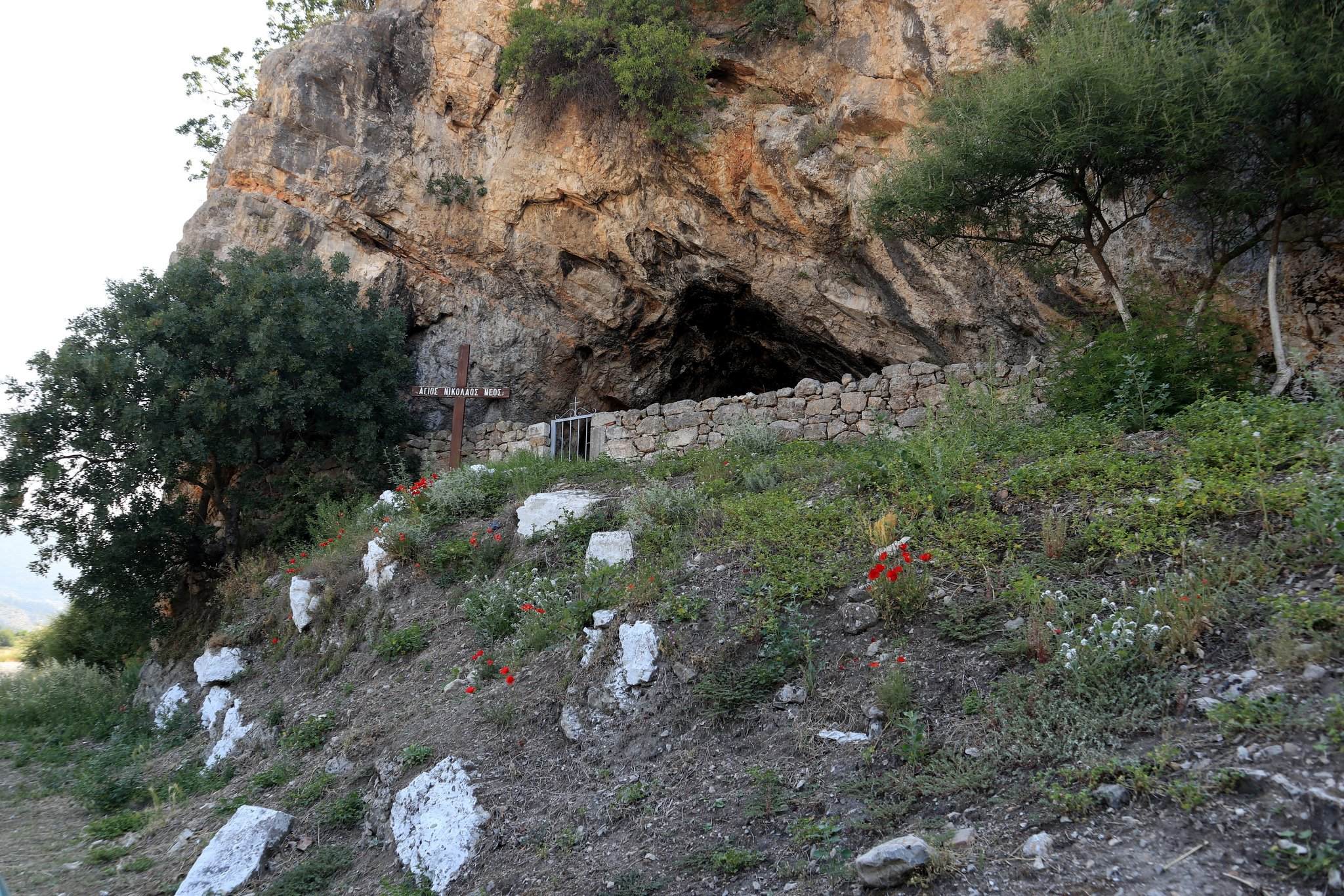 Το συναντήσαμε στην έξοδο Ακραίφνιο της Εθνικής Οδού Αθην...
