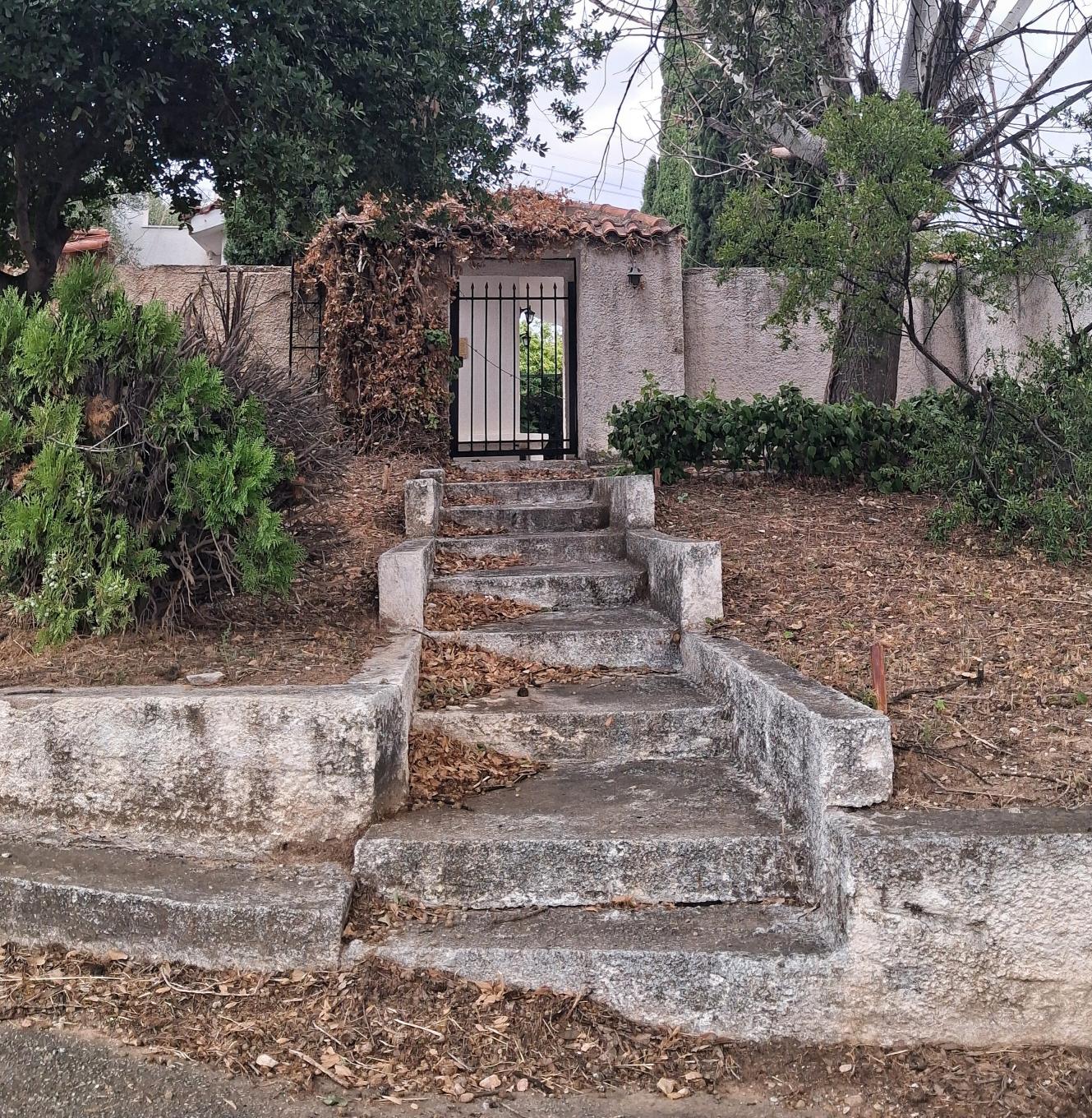 Μια μικρή φθινοπωρινή νότα από τη βόλτα του Σαββατοκύριακου στην Παιανία Φωτογραφία από κινητό