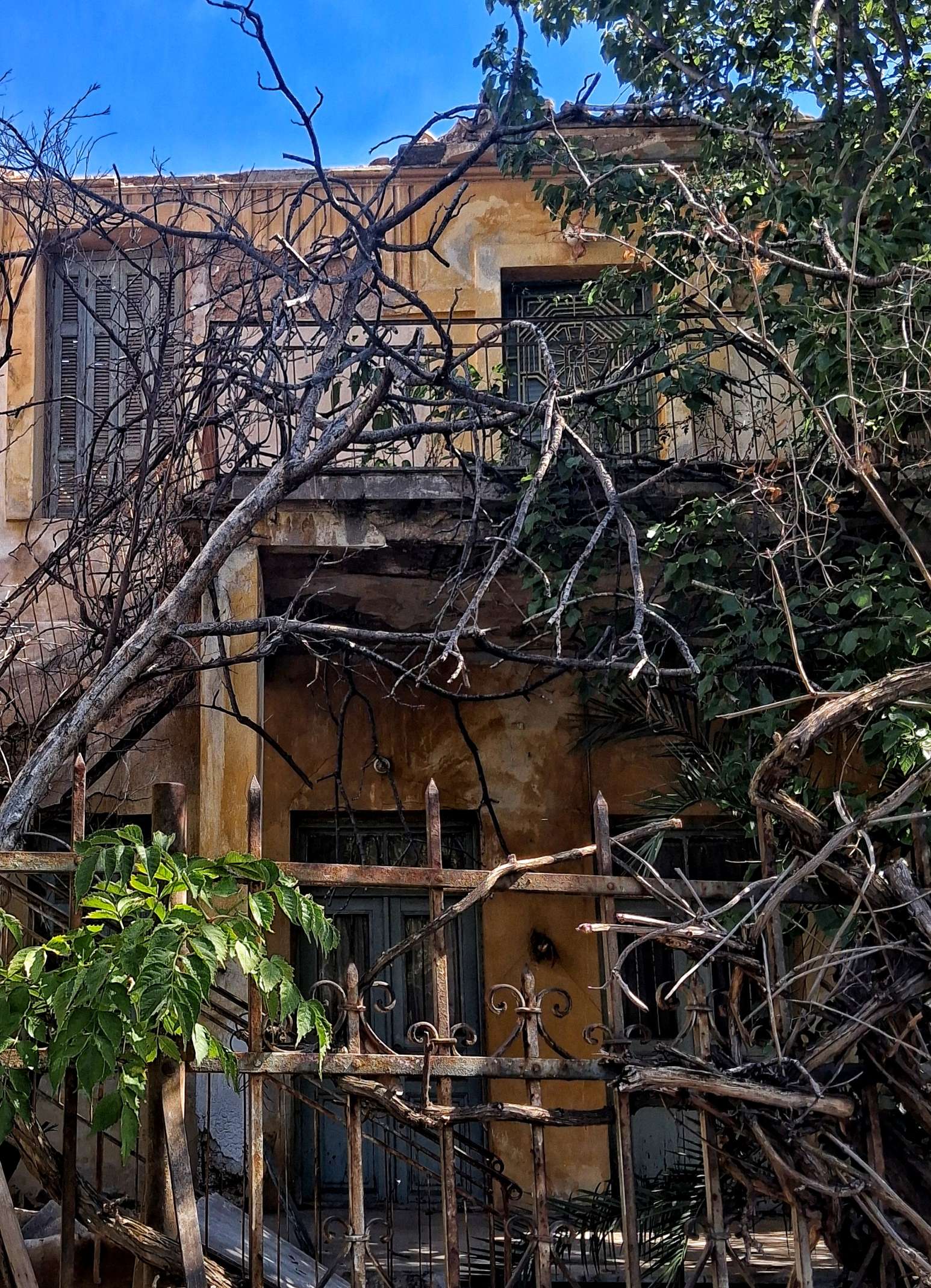 Σε πολύ κεντρικό μέρος της πόλης, ανάμεσα σε μαγαζιά, υπηρεσίες, δρόμους αυτοκίνητα, στέκεται χωρίς να φαίνεται παράταιρο, κ…